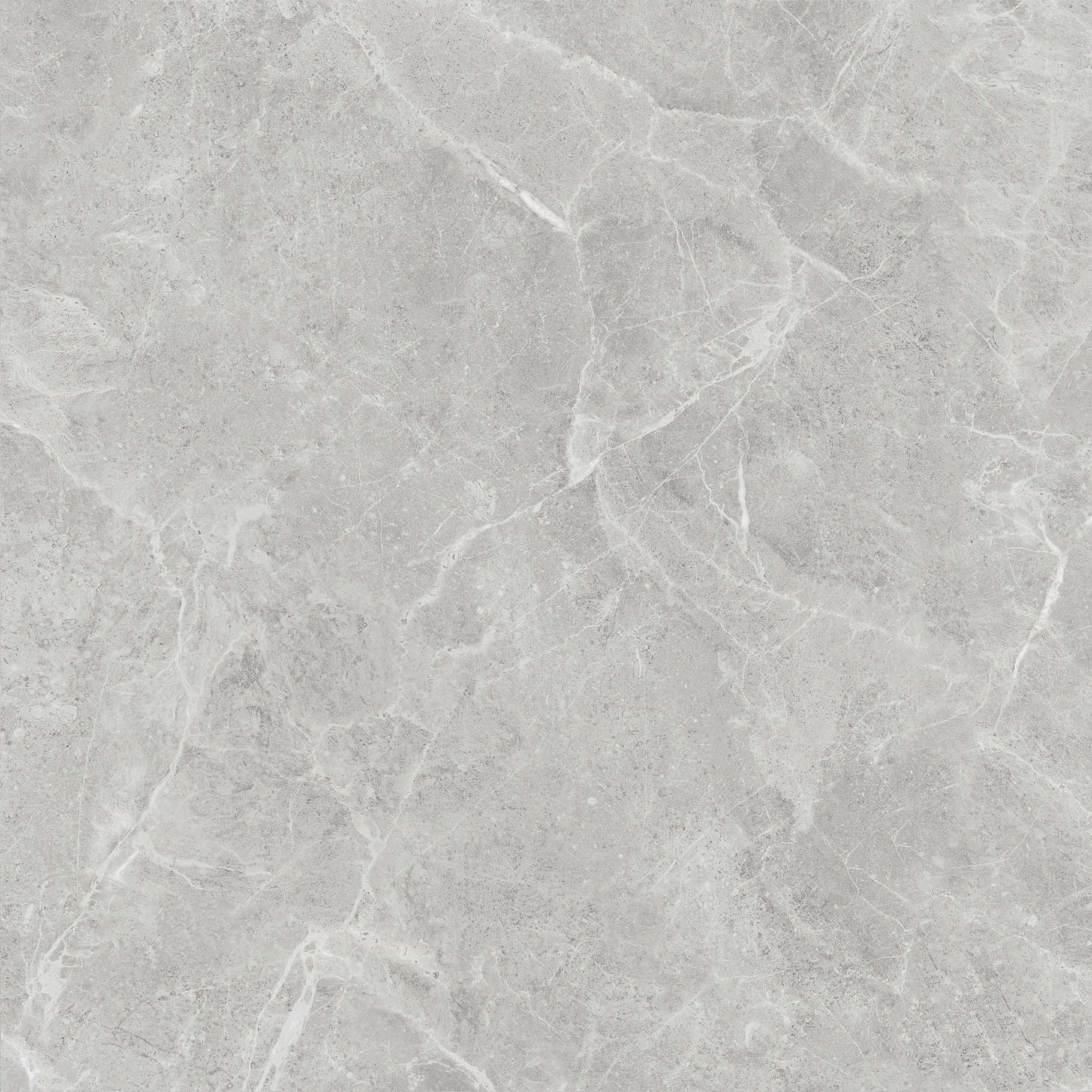 OFTT80018B 達爾曼灰