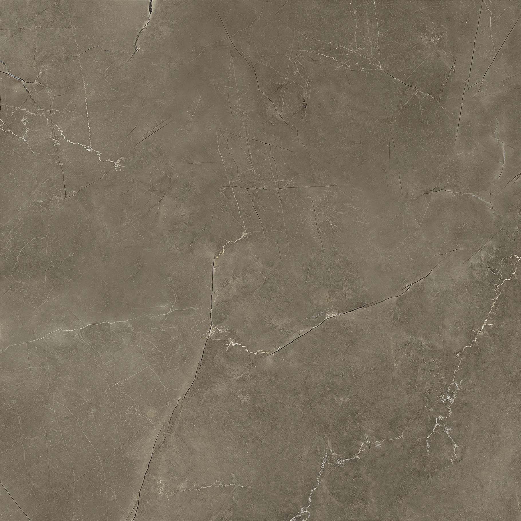 #OFTT80017B 圣羅蘭