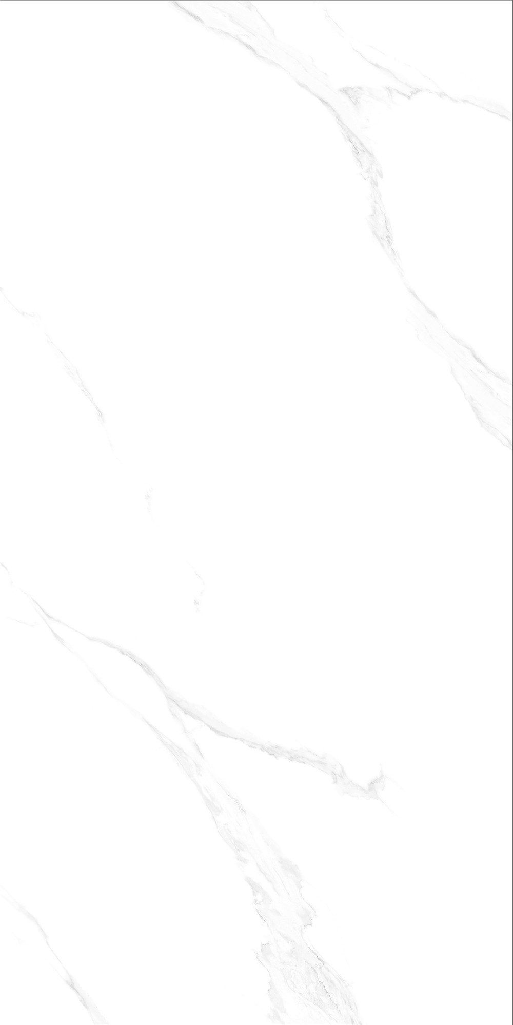 FTB15014 安娜白（連紋）