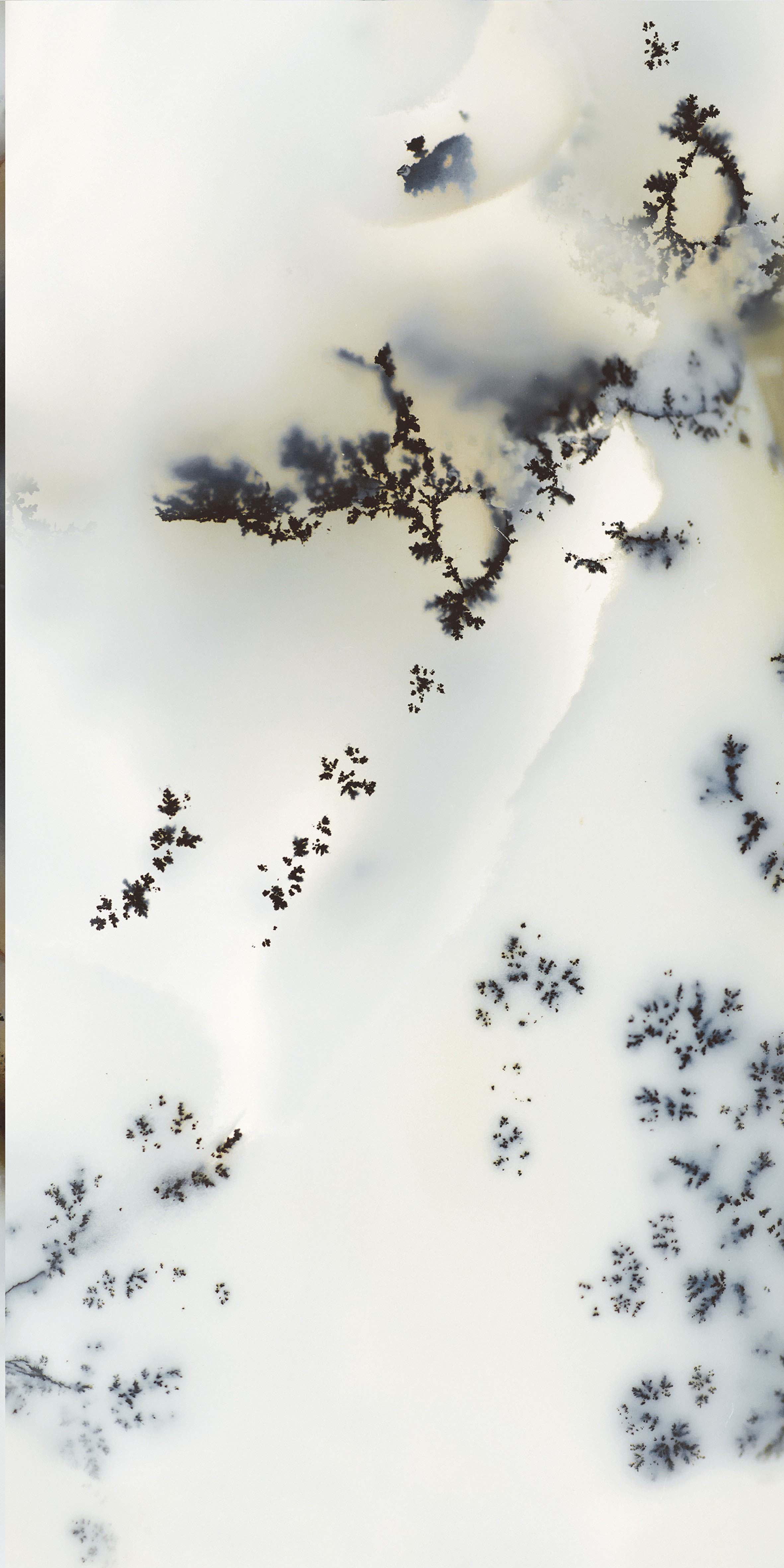 FTB12066 煙雨松露