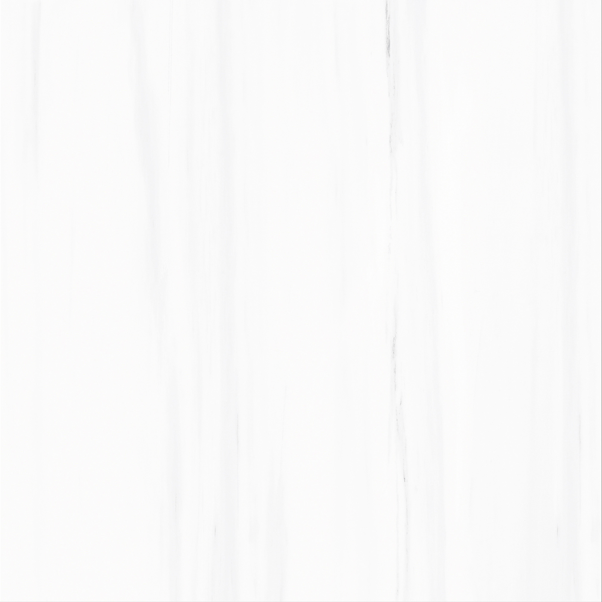 FCYB80089 土耳其星白