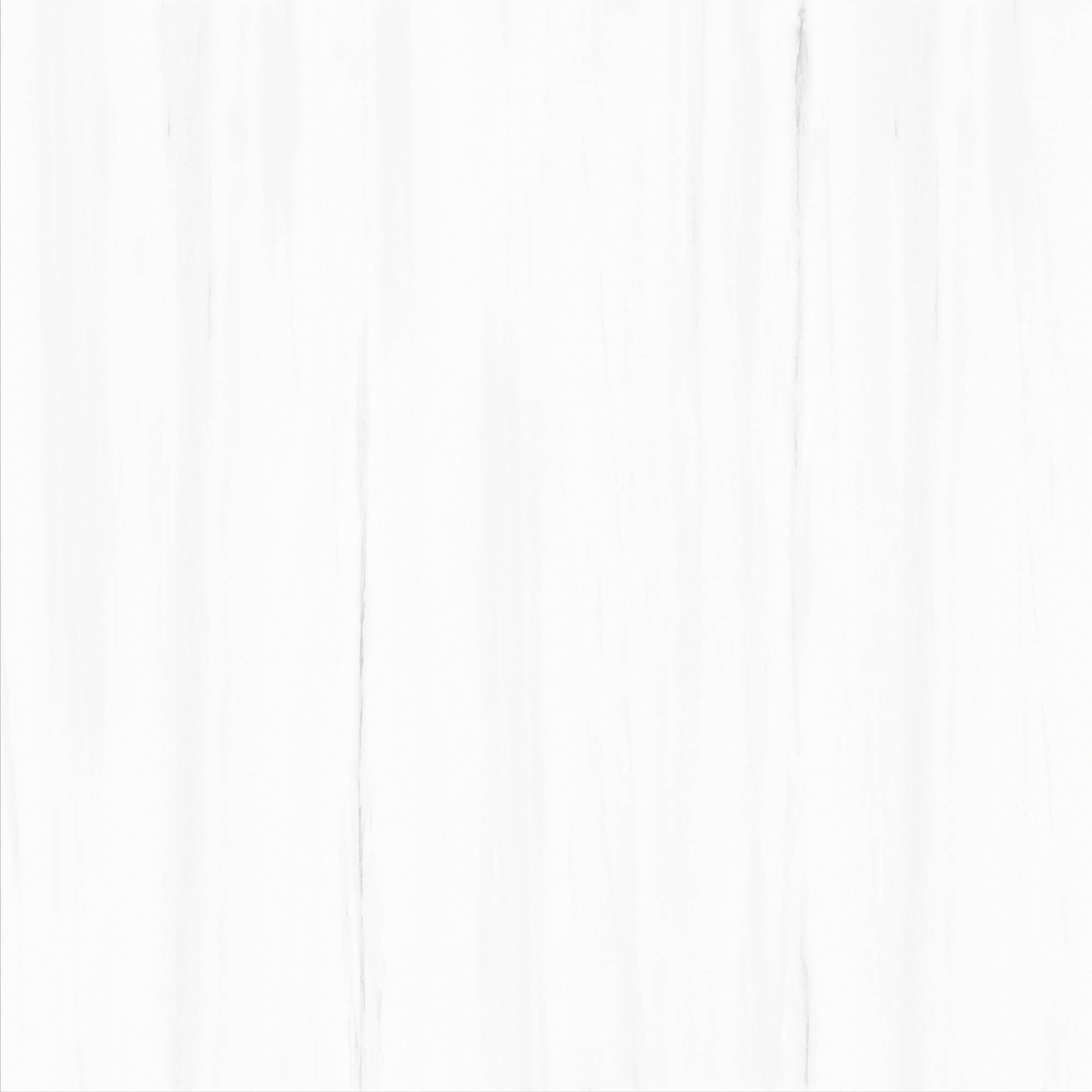 FCYB80089 土耳其星白