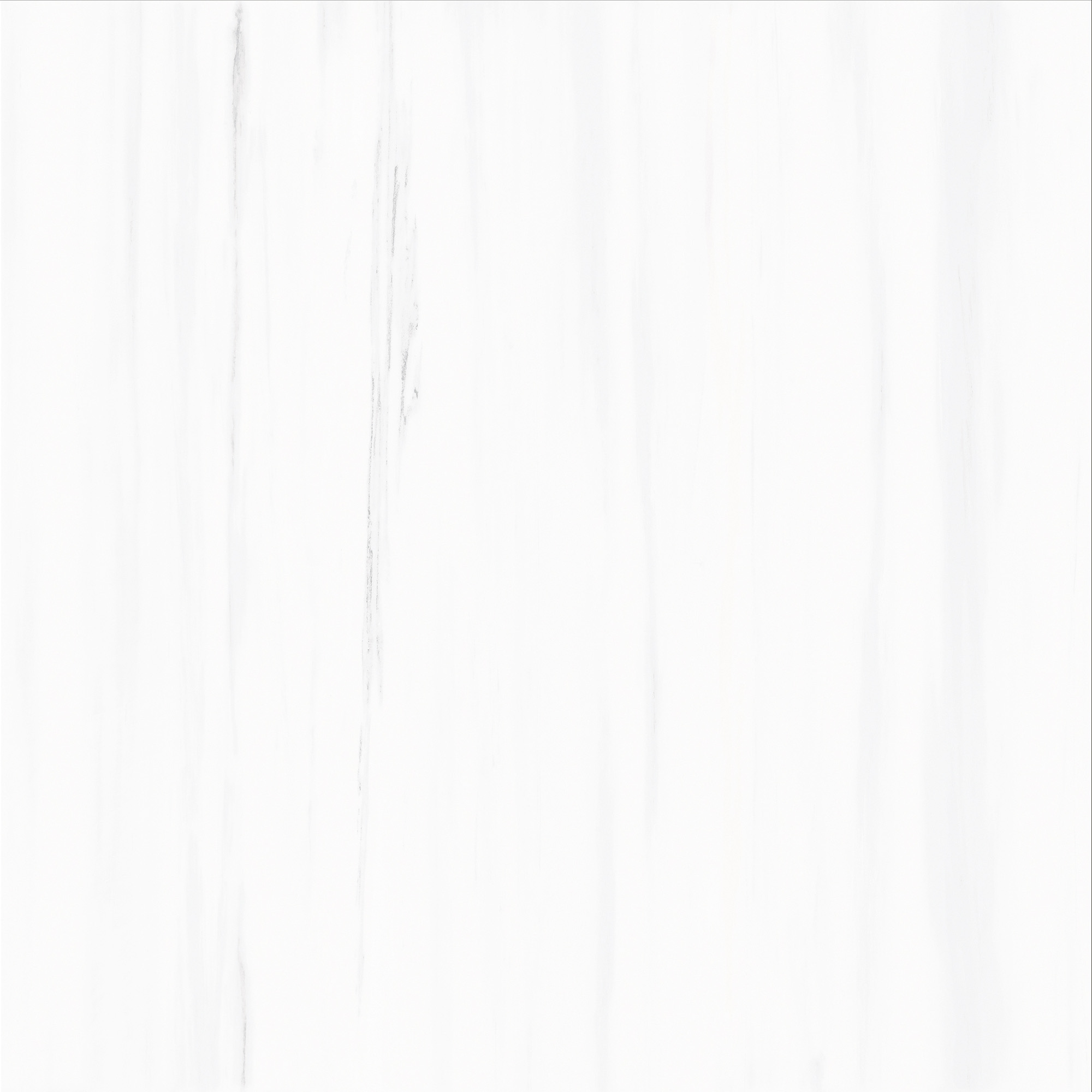 FCYB80089 土耳其星白