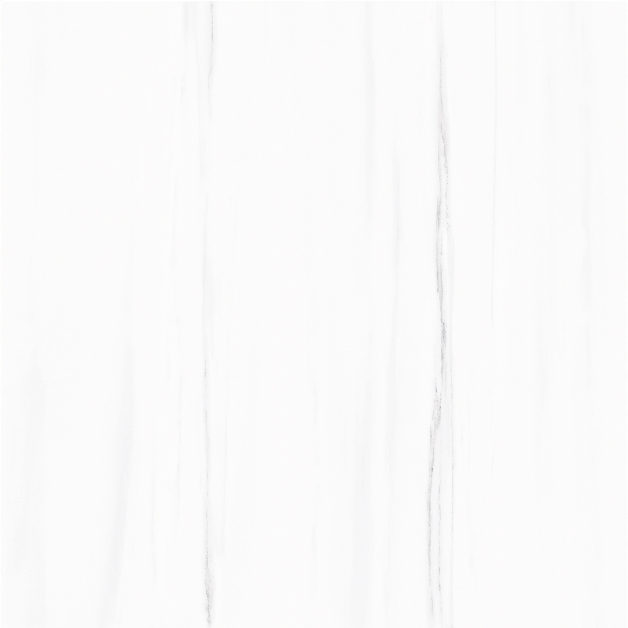 FCYB80089 土耳其星白