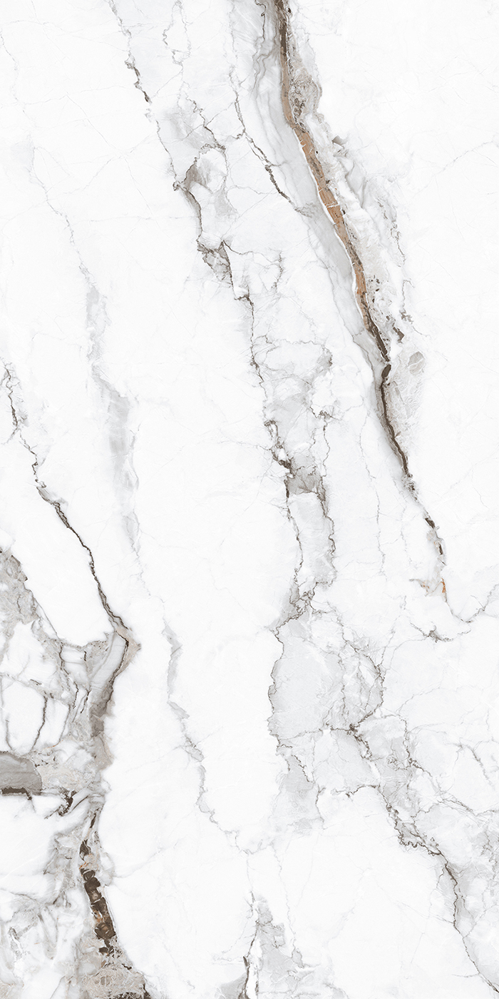 FTB15029 卡若拉白