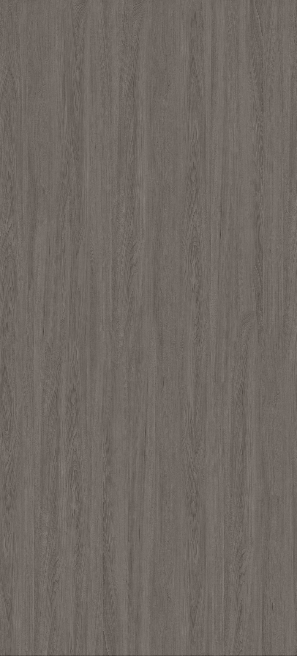 HJ2712001香樟森林（緞光，隨機版面）